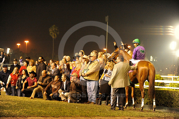 hollywoodpark_californiachrome02_hr