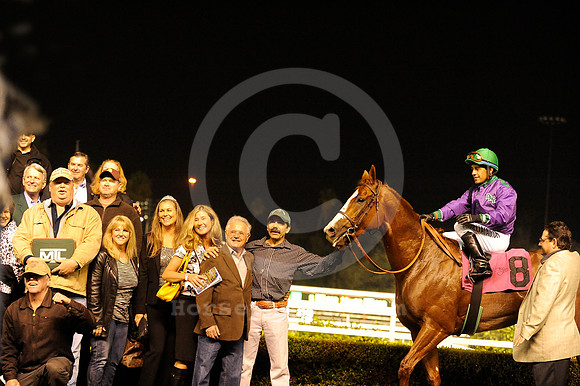 hollywoodpark_californiachrome03_hr