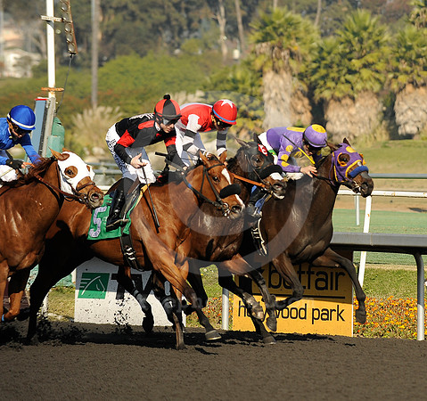 hollywoodpark_woodlandsway01_hr