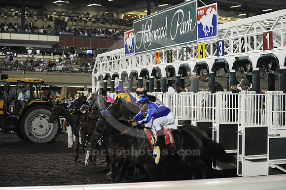 hollywoodnightracing01_jn
