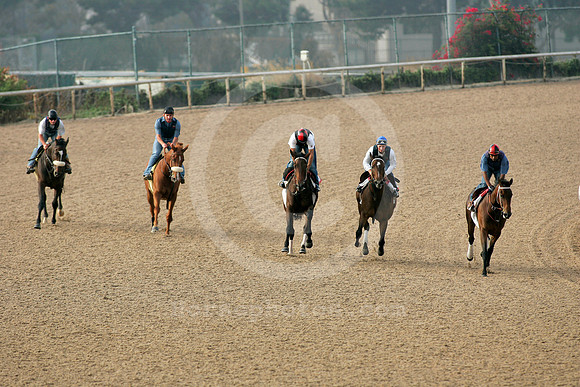 hollywoodparkpolytrack06_ae