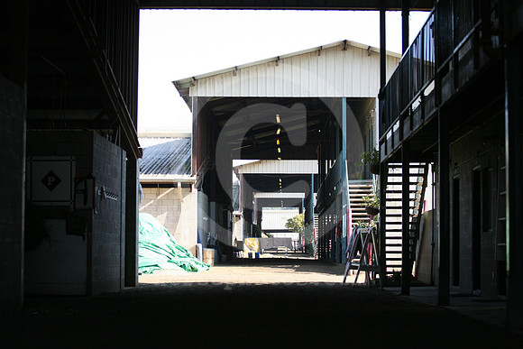 hollywoodpark_backside05_cg