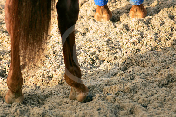 hollywoodparkpolytrack04_ae
