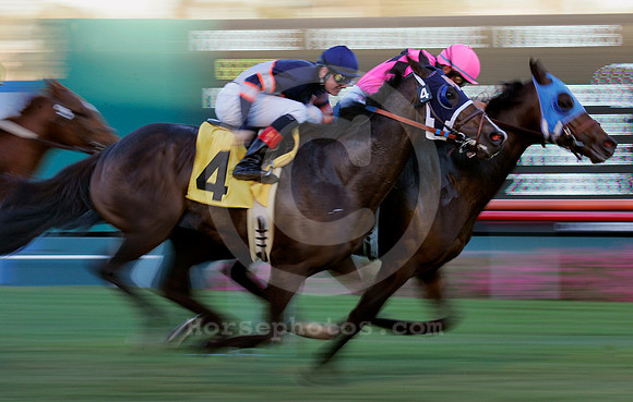 hollywoodparkturfaction03_ae