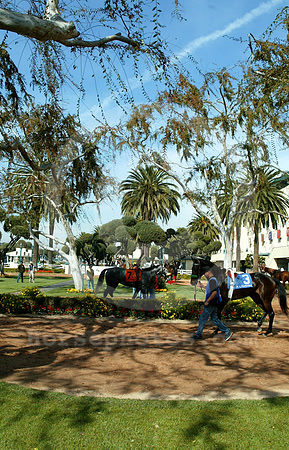 hollywoodpark01_mjm