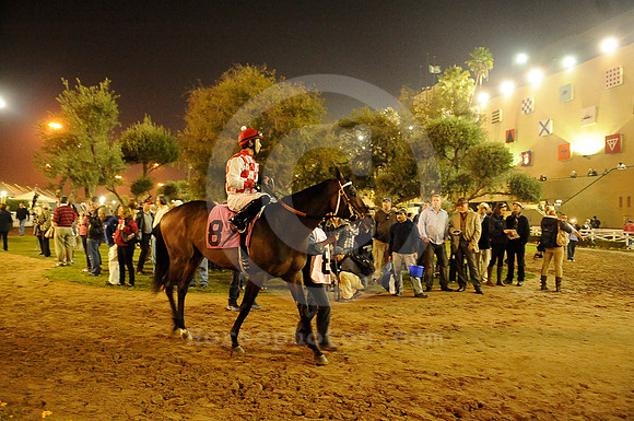hollywoodpark_paddock22_hr