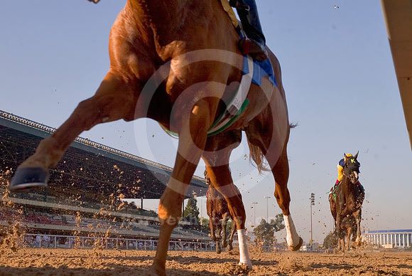 hollywoodparkcushiontrack02_ae