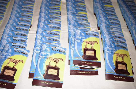 eclipse_seating_book01_mjm