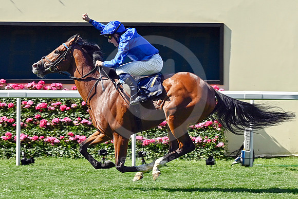 250618D579ROYAL_ASCOT