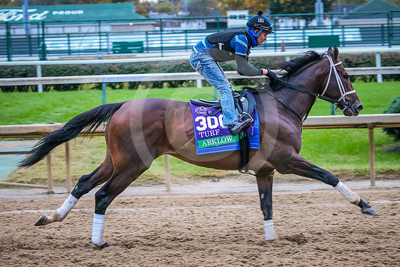 arklow101_rn