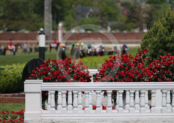 2014_derbyday06