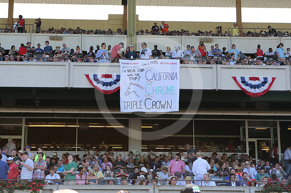belmont_crowd63