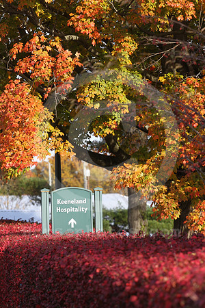 bc_2020_scenic05