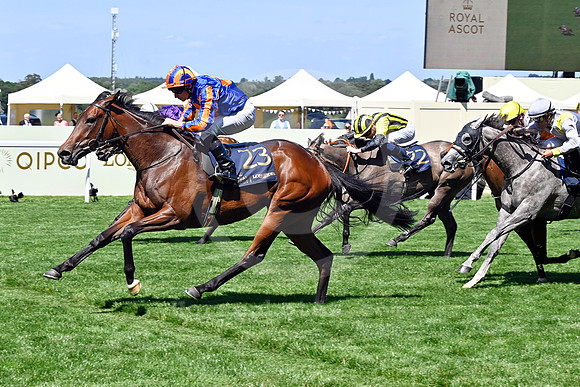 250618D477ROYAL_ASCOT