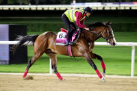 2024 DUBAI WORLD CUP