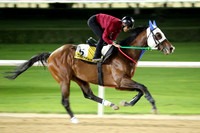 IGNITER12DUBAI_MTW