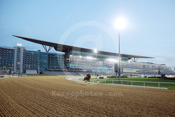 240327D029DUBAI_MTW