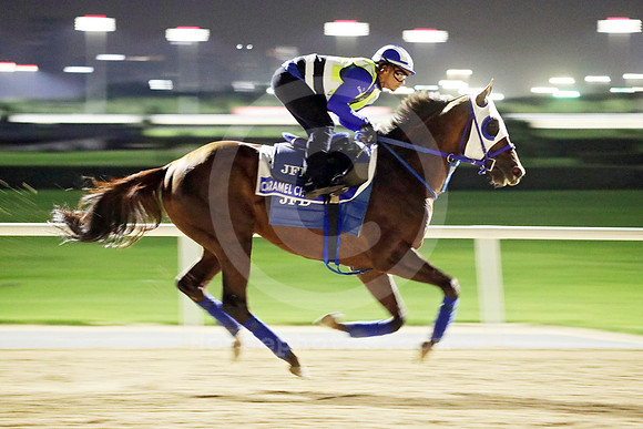 CARAMEL CHIP 01DUBAI_MTW