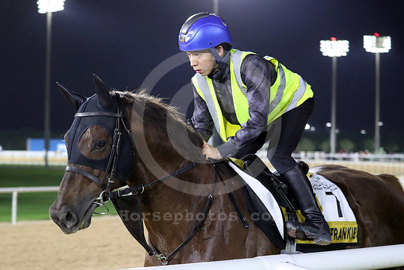 DON FRANKIE 18DUBAI_MTW