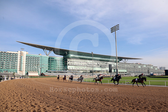 irish_entries01DUBAI_MTW