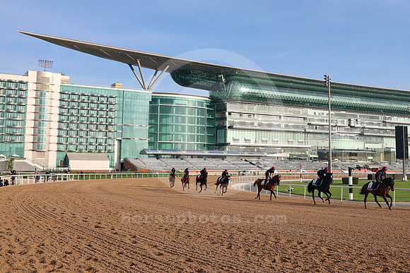 irish_entries02DUBAI_MTW