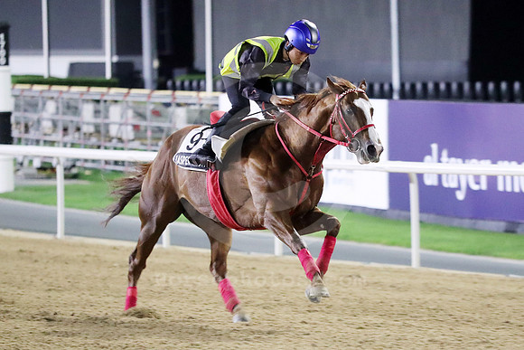 JASPER KRONE08DUBAI_MTW