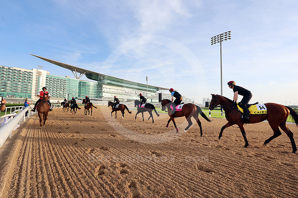 irish_entries03DUBAI_MTW