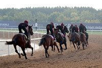 Irish contenders86DUBAI_MTW
