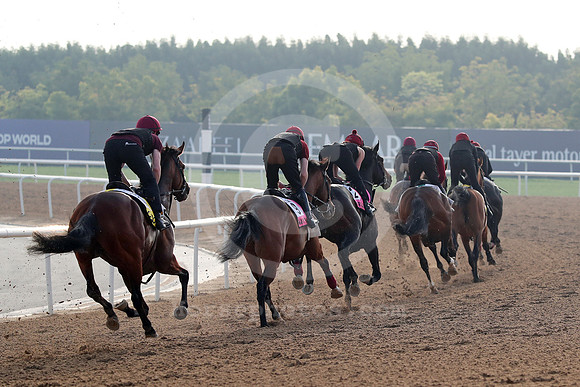 Irish contenders86DUBAI_MTW