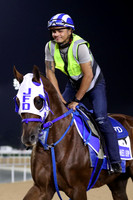 CARAMEL CHIP16DUBAI_MTW
