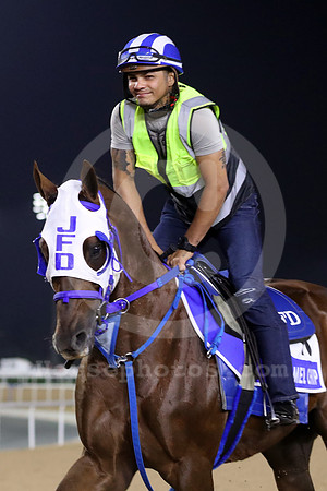CARAMEL CHIP16DUBAI_MTW