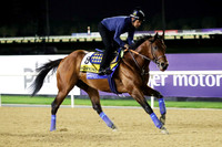 Hopkins10DUBAI_MTW