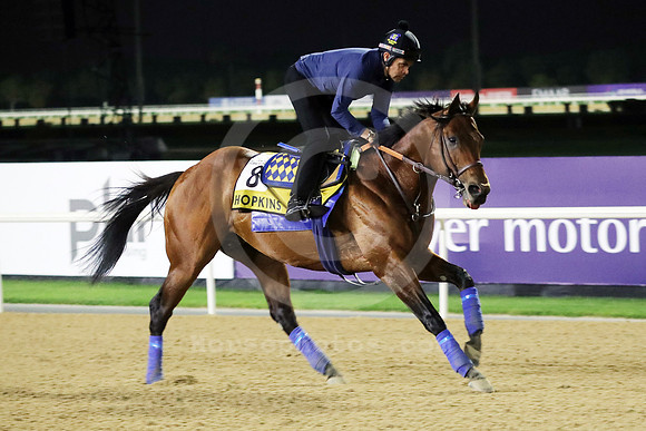Hopkins10DUBAI_MTW