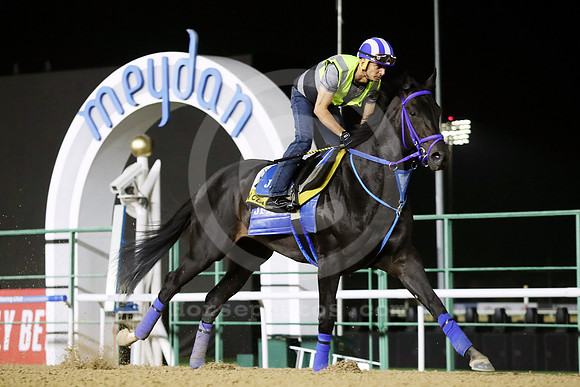 FACTEUR CHEVAL30DUBAI_MTW