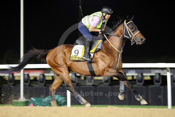 Keiai Dorie27DUBAI_MTW