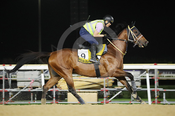 Keiai Dorie28DUBAI_MTW