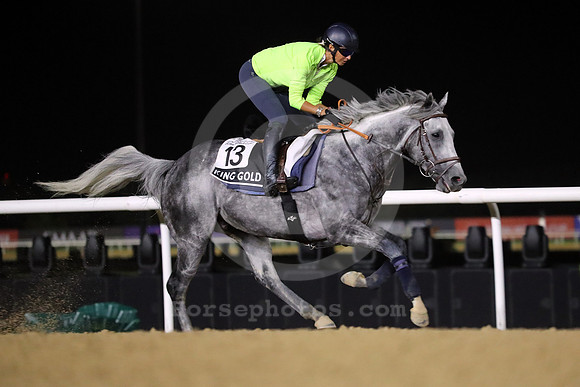 KING GOLD46DUBAI_MTW