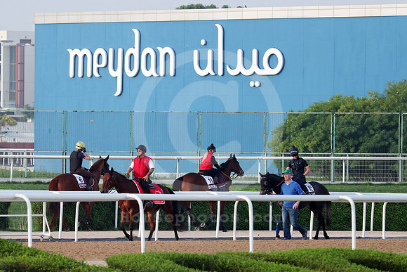 GIAVELLOTTO (6), ENEMY (11) and FROST AT DAWN 55DUBAI_MTW