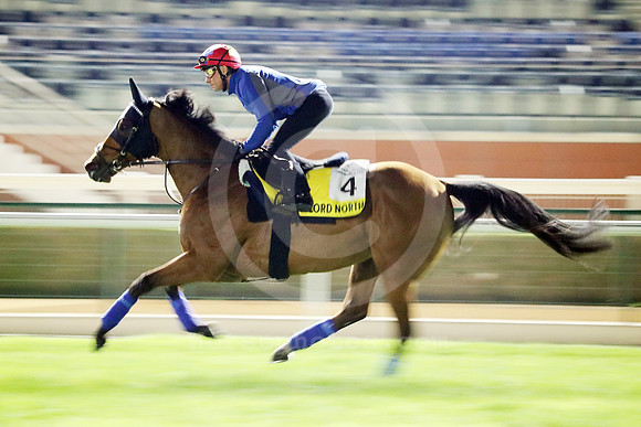 LORD NORTH34DUBAI_MTW
