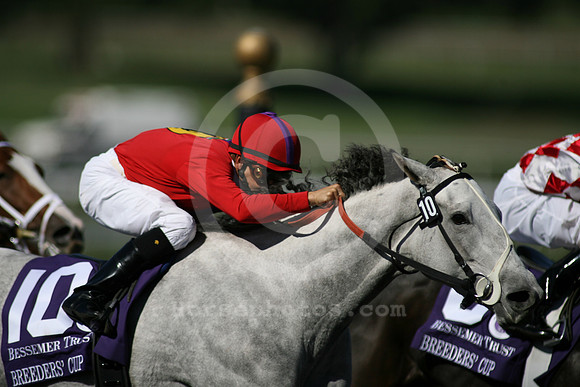 bc08jf15_pt