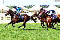 Asfoora17ROYAL_ASCOT