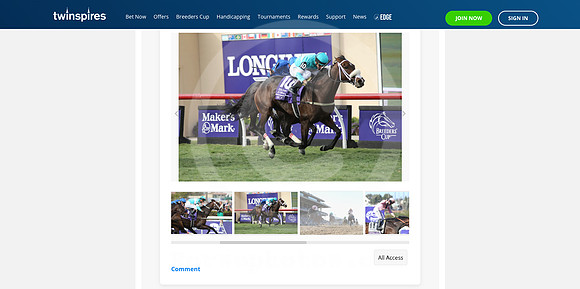 twinspires 2024-11-04 at 9.31.53 AM (2)