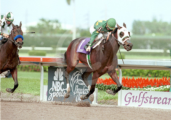 cash run-b.c. juv. fillies-
