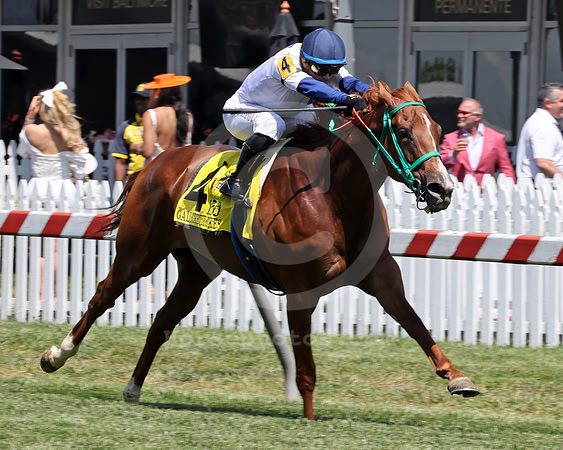 Charlene'sDream,Gallorette-5-17-25KLDZ10898