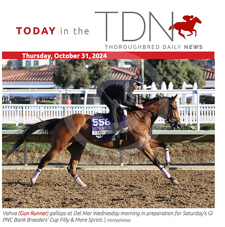TDN 2024-11-04 at 9.39.48 AM (2)
