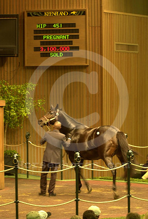 keenov00hip451
