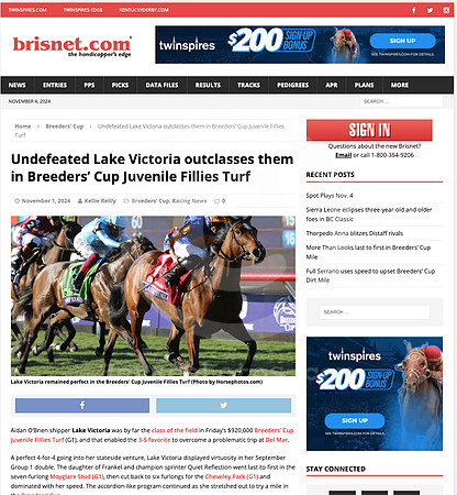 brisnet 2024-11-04 at 9.24.21 AM (2)