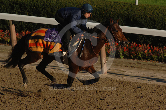 shirocco02_jd