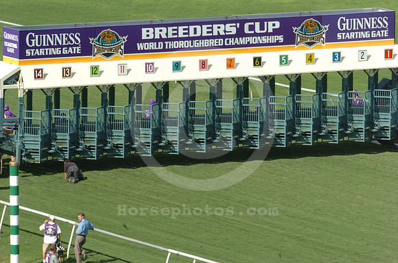 bc04_guinness_startinggate01_hr