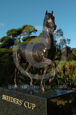 breederscuptrophy11_jd